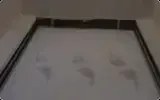 SLA SLA