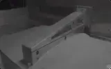 DMLS