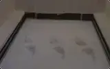 SLA
